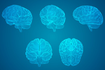 哪个国家博士好申请(哪个国家读博士最容易毕业 知乎)