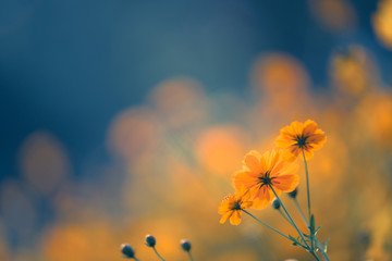 31省本土新增13例/31省新增本土1例丫