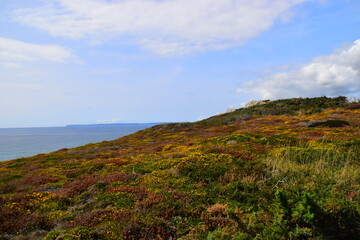 北京新增本土确诊35例/北京新增本地确诊病例36例