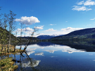 【青岛:本次疫情风险较小,青岛疫情什么风险等级】
