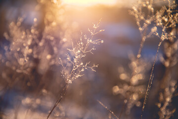 青岛本地确诊全部清零/青岛 本地确诊