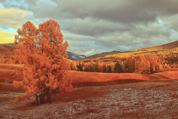 疫情查询/疫情 查询