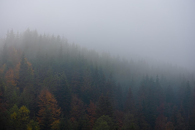 上海新增33个疫情中风险区/上海新增一个中风险