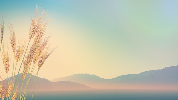 当两年兵退伍后给多少钱/当兵八年退伍享受什么待遇