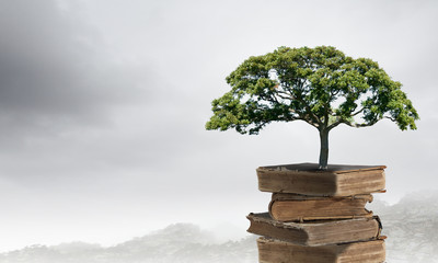 成都确诊的简单介绍