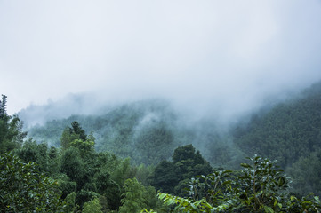 高速免费时间表2022/高速免费时间最新